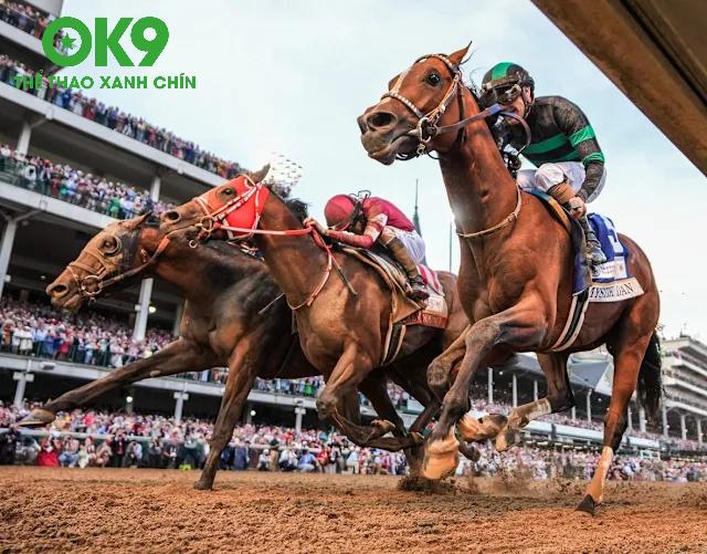 Rondelito – Ngựa Ô Sáng Giá B.C. Derby 2025 Nhờ Pedigree & Trainer