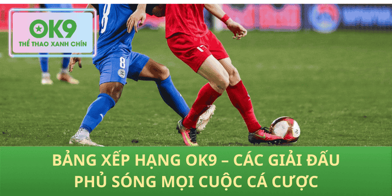 Bảng Xếp Hạng OK9 – Các Giải Đấu Phủ Sóng Mọi Cuộc Cá Cược