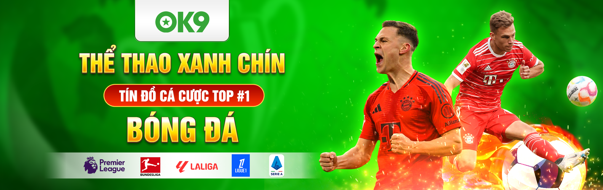 Banner ok9 xanh chín - cược bóng đá đỉnh cao