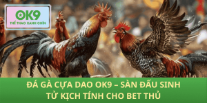 Đá Gà Cựa Dao OK9 – Cuộc Đua Sinh Tử Nảy Lửa Cho Bet Thủ