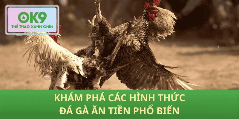 Khám Phá Các Hình Thức Đá Gà Ăn Tiền Phổ Biến