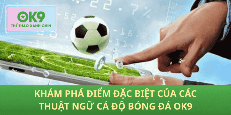 Khám phá điểm đặc biệt của các thuật ngữ cá độ bóng đá OK9