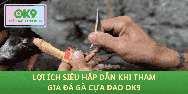 Lợi Ích Siêu Hấp Dẫn Khi Tham Gia Đá Gà Cựa Dao OK9
